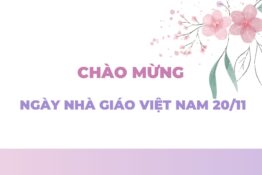 Chuỗi hoạt động chào mừng Kỷ niệm 40 năm Ngày nhà giáo Việt Nam (20/11/1982 – 20/11/2022)